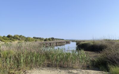 ce  qui tient encore