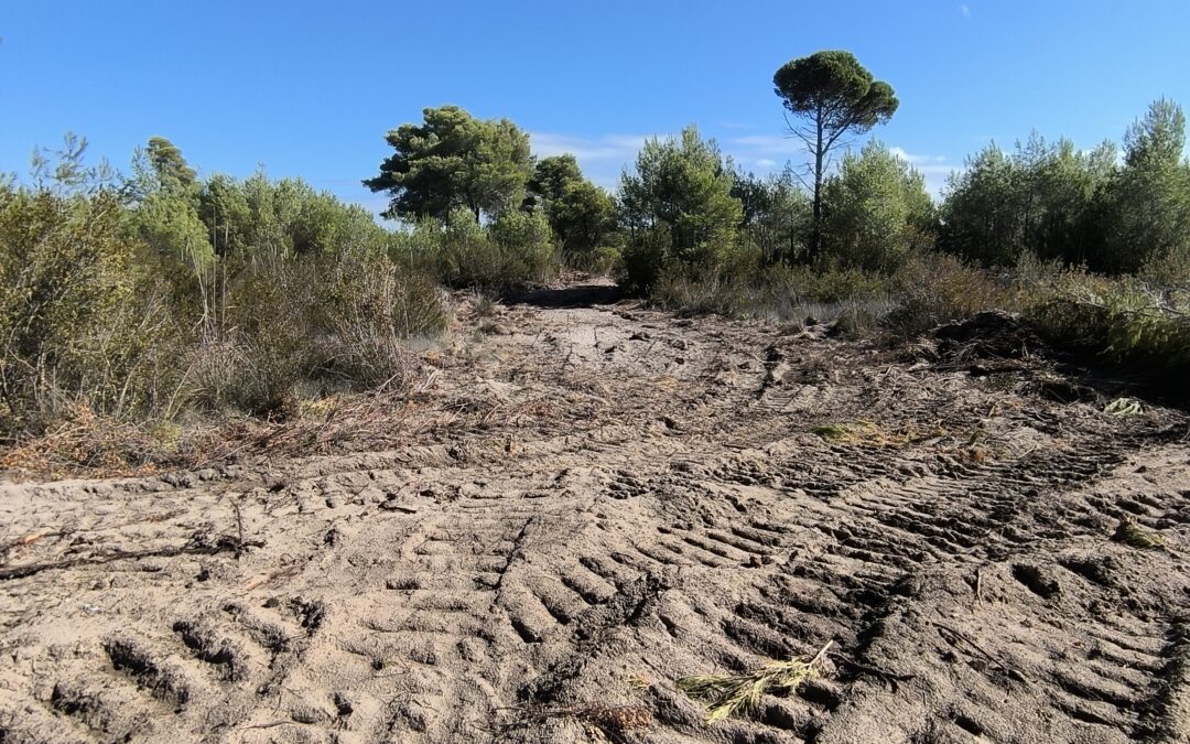 La fracture de la terre habitée