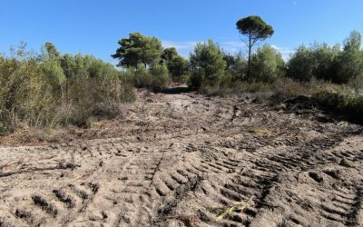 La fracture de la terre habitée