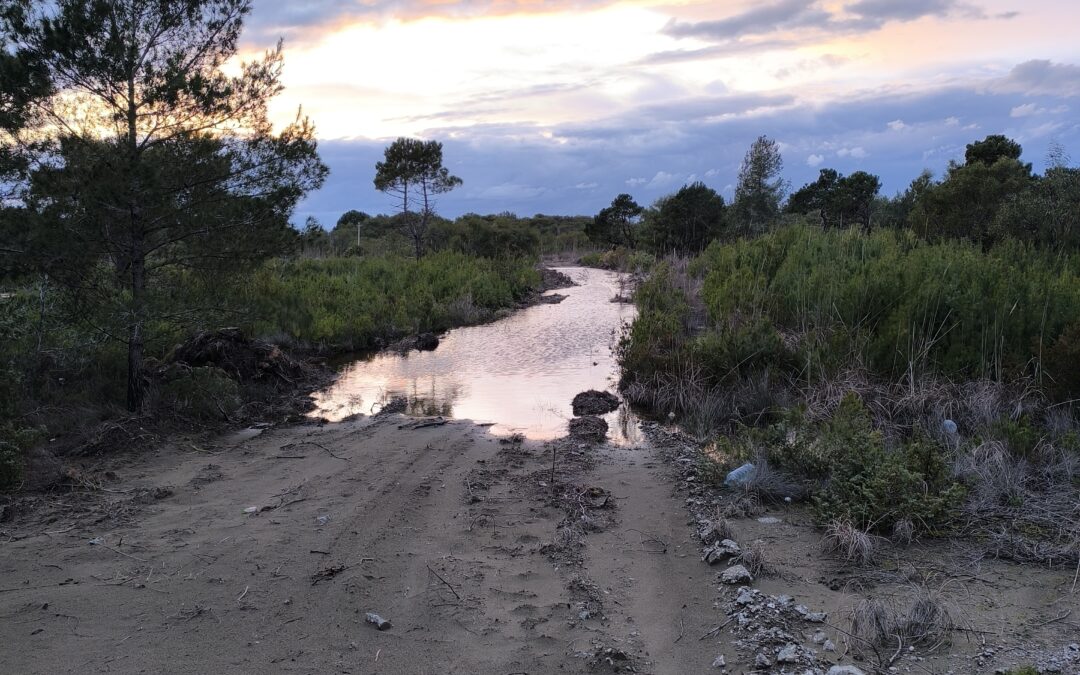 Alerte au risque hydrologique et demande de mesures préventives
