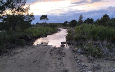 Alerte au risque hydrologique et demande de mesures préventives